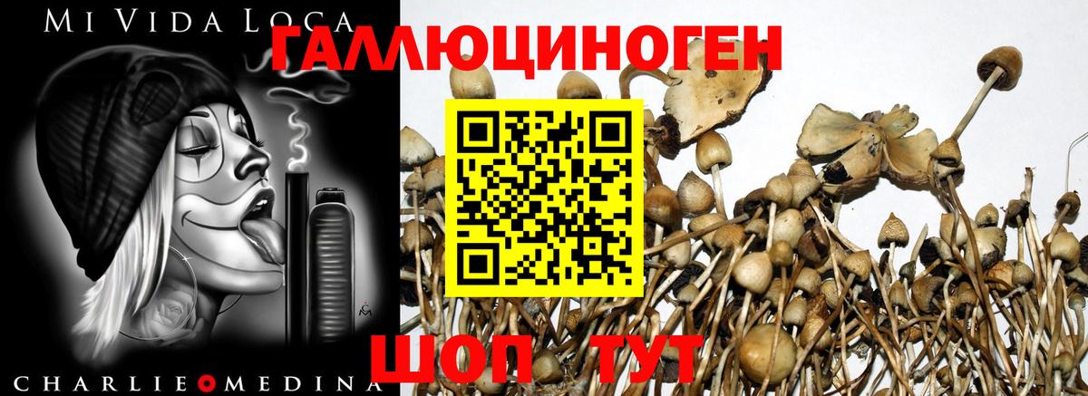 Галлюциногенные грибы Magic Shrooms Смоленск