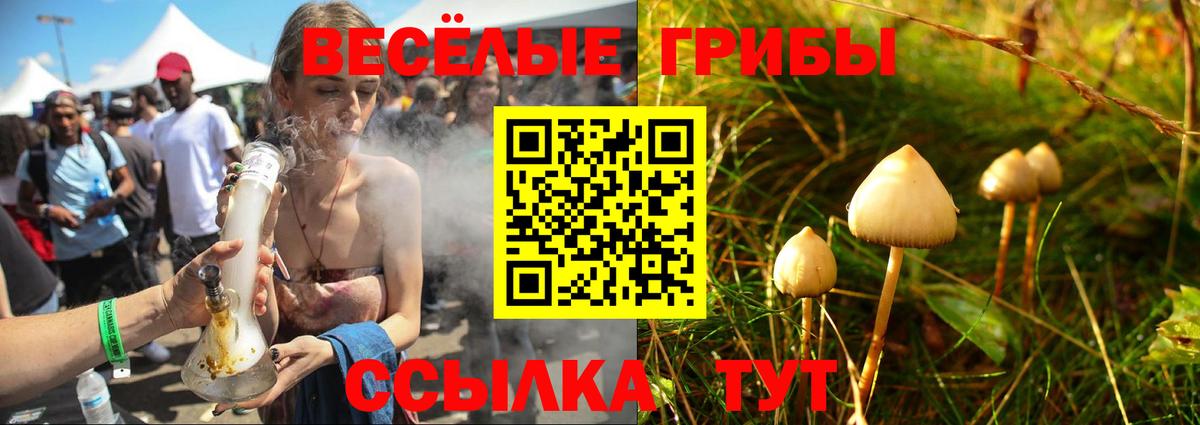 Псилоцибиновые грибы прущие грибы  Вход с VPN  Смоленск 